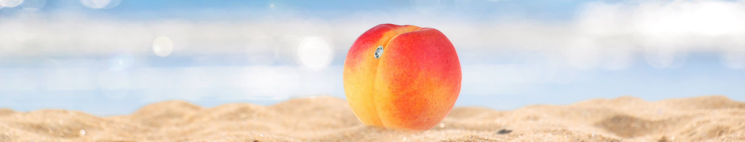 Peach on a sandy beach with a blue sky background